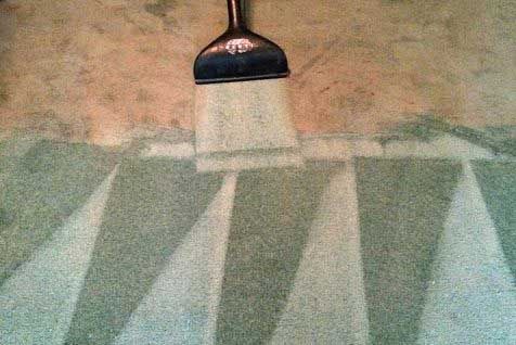 Serenity Floor Care best carpet cleaner in Houston