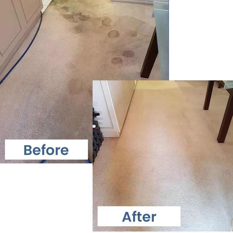 Before and after carpet cleaning in Houston
